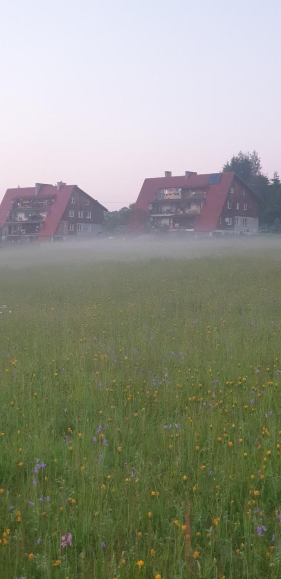 Apartament Wrzos Bieszczady Czarna  Exterior foto